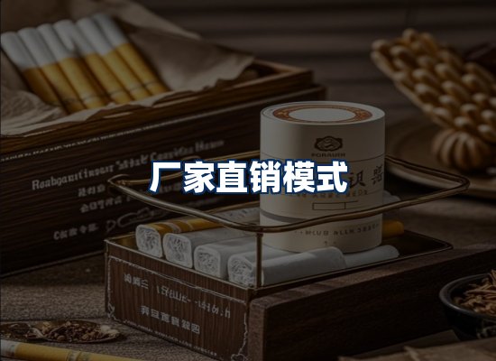 专业团队办公环境
